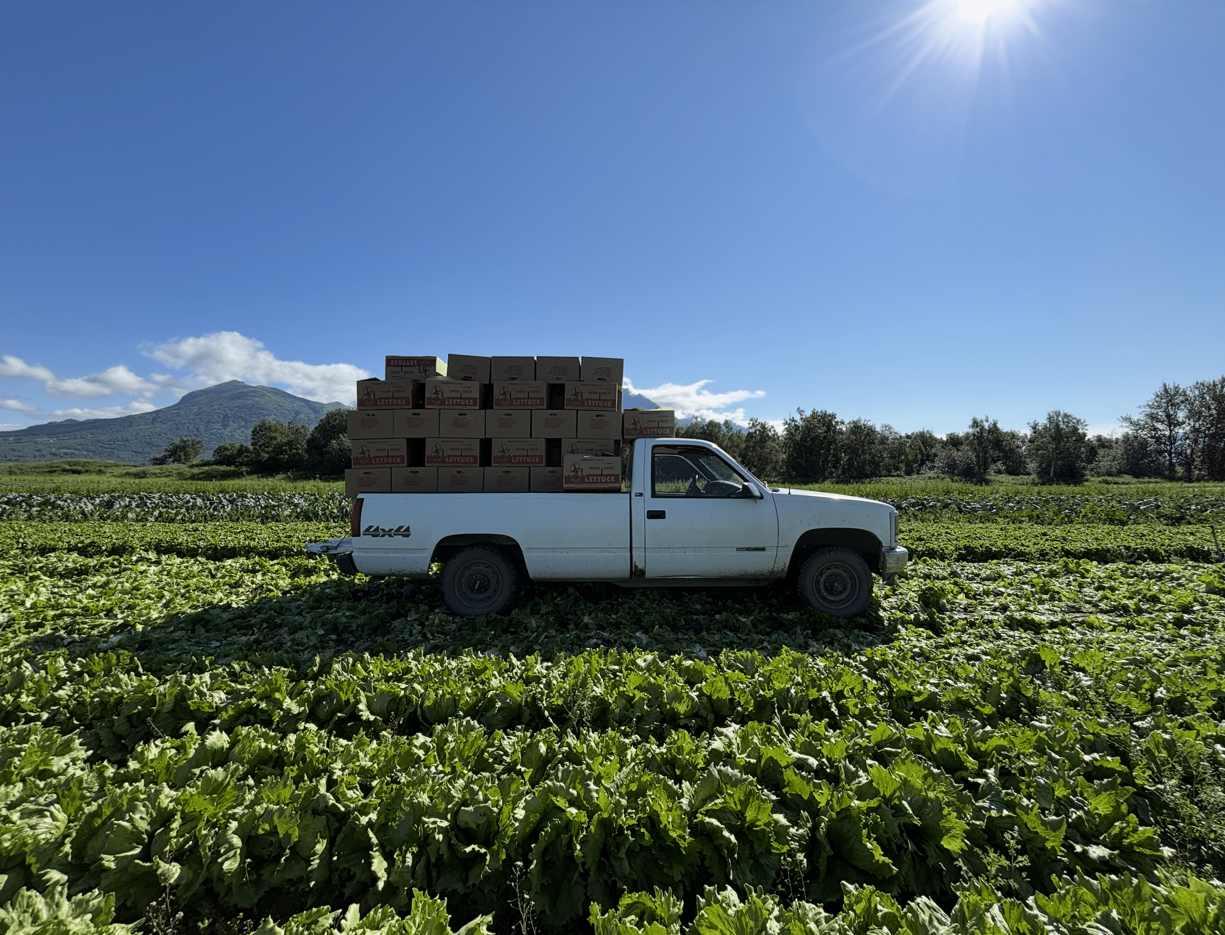 VanderWeele Farms